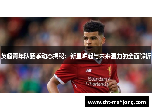 英超青年队赛季动态揭秘:新星崛起与未来潜力的全面解析 英超青年队赛季动态揭秘:新星崛起与未来潜力的全面解析